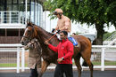 Race 2 - Dal Horrisgle (10)