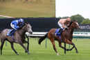 Race 2 - Dal Horrisgle (5)