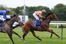 Race 2 - Dal Horrisgle (9)