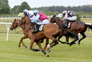 Race 2 - Dellboy Trotter (4)