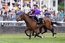 Race 2 - Desert (12)