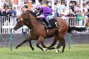 Race 2 - Desert (13)