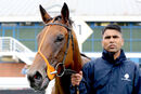 Race 2 - Desert (16)