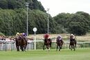 Race 2 - Desert (2)