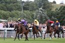 Race 2 - Desert (4)