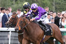 Race 2 - Desert (5)