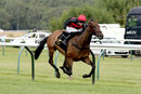 Race 2 - Desert Quest (10)