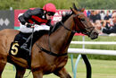 Race 2 - Desert Quest (13)