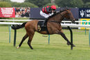 Race 2 - Desert Quest (15)