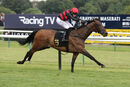 Race 2 - Desert Quest (16)