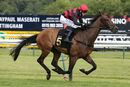 Race 2 - Desert Quest (17)