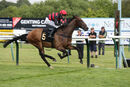 Race 2 - Desert Quest (18)