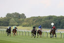 Race 2 - Desert Quest (4)