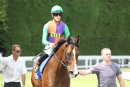 Race 2 - Don Armado (2)