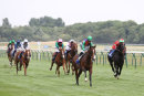 Race 2 - Don Armado (3)