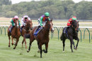 Race 2 - Don Armado (4)