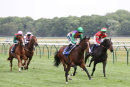 Race 2 - Don Armado (5)