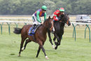 Race 2 - Don Armado (6)