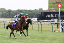 Race 2 - Don Armado (7)