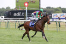 Race 2 - Don Armado (9)
