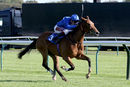 Race 2 - Dubai Love (4)