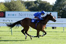 Race 2 - Dubai Love (7)