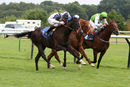 Race 2 - Ebony Adams (5)