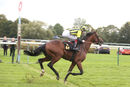 Race 2 - Eldar Eldarov (16)