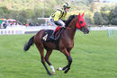 Race 2 - Eldar Eldarov (2)