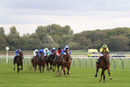 Race 2 - Eldar Eldarov (4)