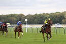 Race 2 - Eldar Eldarov (5)
