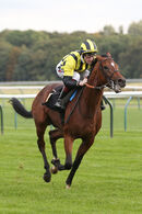 Race 2 - Eldar Eldarov (7)