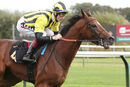 Race 2 - Eldar Eldarov (9)