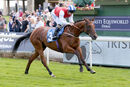 Race 2 - Explicit (3)