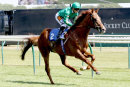 Race 2 - Extra Elusive (8)