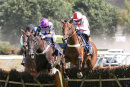 Race 2 - Fields Of Fortune (3)