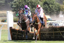 Race 2 - Fields Of Fortune (4)