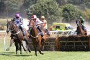 Race 2 - Fields Of Fortune (5)