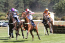 Race 2 - Fields Of Fortune (6)