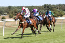 Race 2 - Fields Of Fortune (7)