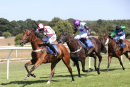 Race 2 - Fields Of Fortune (8)