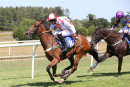 Race 2 - Fields Of Fortune (9)