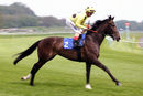 Race 2 - Fifth Position (2)