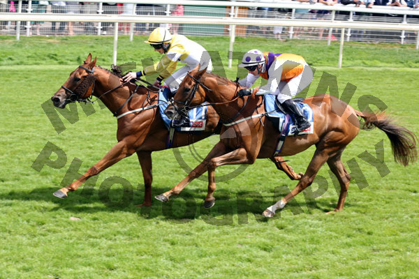 Race 2 - Flying Pursuit (10)