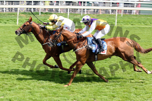 Race 2 - Flying Pursuit (11)