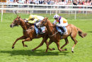 Race 2 - Flying Pursuit (9)