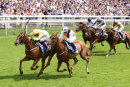 Race 2 - Flying Pursuit (6)