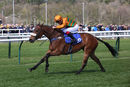 Race 2 - Free Love (10)
