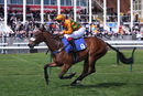 Race 2 - Free Love (11)