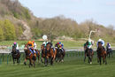 Race 2 - Free Love (3)